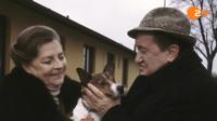 Der Alte / Der Alte - Der Freund