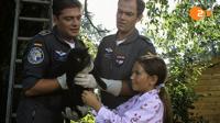 Die Rettungsflieger&nbsp;/&nbsp;Die Rettungsflieger - Voller Überraschungen